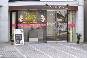 Ikebukuro Store